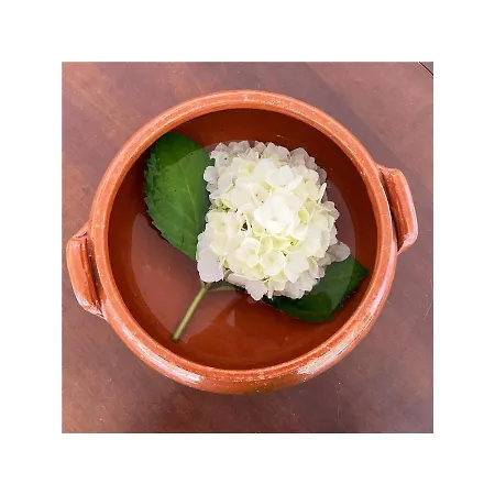 Solar Do Conde Garden Capelas (Sao Miguel)