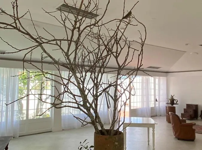 Hotel Solar Do Conde Garden