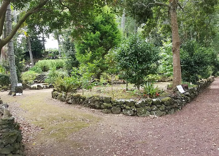 Solar Do Conde Garden Hotel 4*