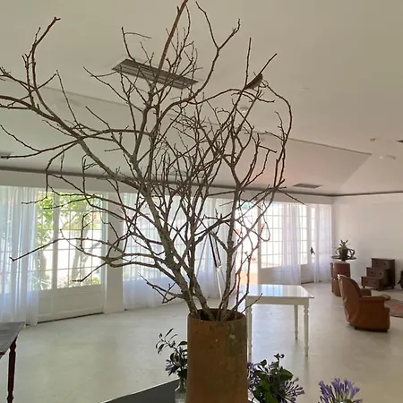 Hotel Solar Do Conde Garden