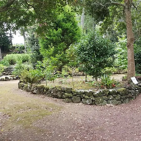 Solar Do Conde Garden Hotel 4*