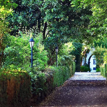 Ξενοδοχείο Solar Do Conde Garden 4*