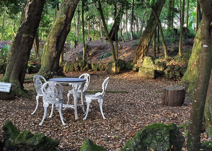 Solar Do Conde Garden Hotel